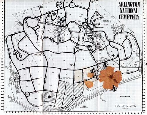 arlington map.jpg